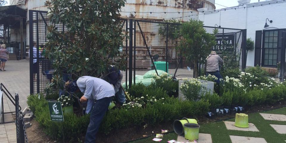 Landscape Design, Lawn Maintenance, Landscape Installation in Waco, Texas for Magnolia