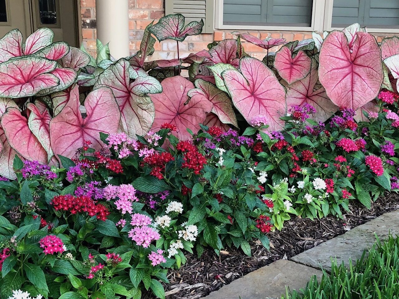 Residential Landscaping Flower and Shrubs Plantings